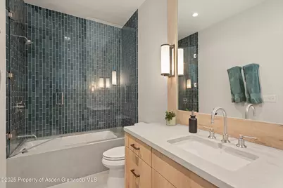 103 S Seventh Street, Aspen, CO 81611 - Photo 22