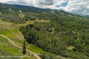 1248 Wood Rd, Snowmass Village, CO 81615 - Photo 72