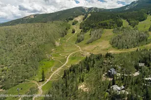 1248 Wood Rd, Snowmass Village, CO 81615 - Photo 70