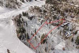 1248 Wood Rd, Snowmass Village, CO 81615 - Photo 84