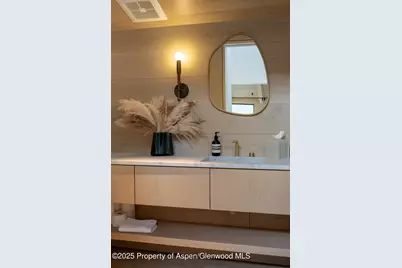 609 W Francis Street, Aspen, CO 81611 - Photo 34