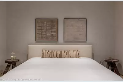 609 W Francis Street, Aspen, CO 81611 - Photo 28