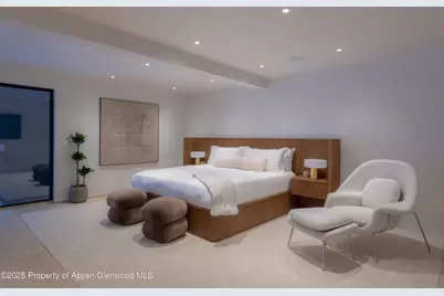 609 W Francis Street, Aspen, CO 81611 - Photo 20