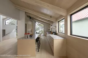 609 W Francis St, Aspen, CO 81611 - Photo 12