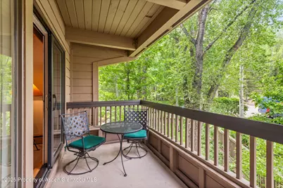 610 S West End Street #J204, Aspen, CO 81611 - Photo 4