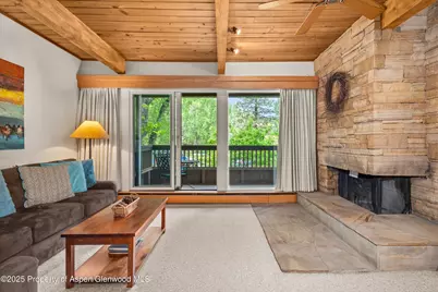 610 S West End Street #J204, Aspen, CO 81611 - Photo 2