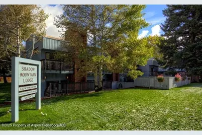 232 W Hyman Avenue #11 (wks. 4,8,39), Aspen, CO 81611 - Photo 10