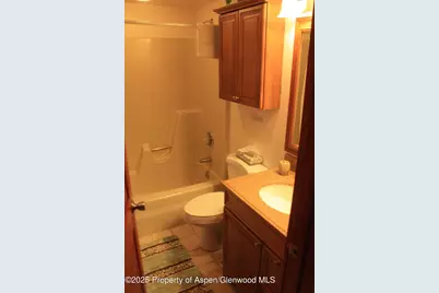 232 W Hyman Avenue #11 (wks. 4,8,39), Aspen, CO 81611 - Photo 8