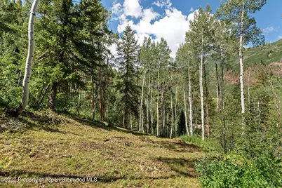 Tbd Exhibition Lane #Lot 13, Aspen, CO 81611 - Photo 18