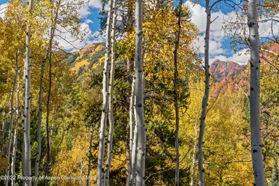 Tbd Exhibition Lane #Lot 13, Aspen, CO 81611 - Photo 24