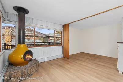 700 S Monarch Street #207, Aspen, CO 81611 - Photo 4
