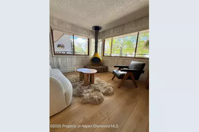 700 S Monarch Street #207, Aspen, CO 81611 - Photo 2