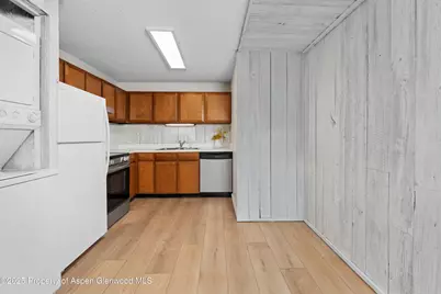 700 S Monarch Street #207, Aspen, CO 81611 - Photo 10