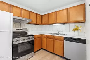 700 S Monarch St, Aspen, CO 81611 - Photo 12