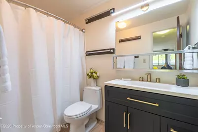 700 S Monarch Street #207, Aspen, CO 81611 - Photo 8