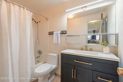 700 S Monarch Street #207, Aspen, CO 81611 - Photo 10