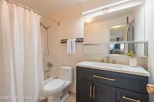 700 S Monarch St, Aspen, CO 81611 - Photo 10
