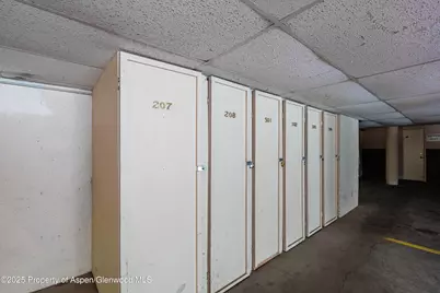 700 S Monarch Street #207, Aspen, CO 81611 - Photo 18