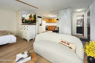 700 S Monarch St, Aspen, CO 81611 - Photo 6