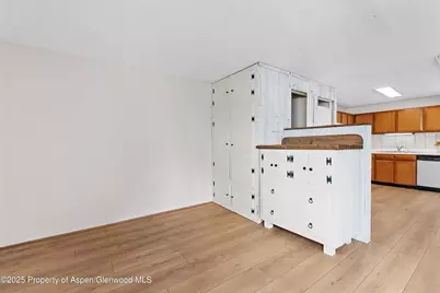 700 S Monarch Street #207, Aspen, CO 81611 - Photo 4