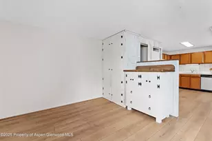 700 S Monarch St, Aspen, CO 81611 - Photo 4