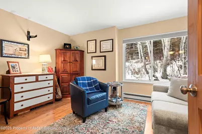 35 Lower Woodbridge Road #Z-195, Snowmass Village, CO 81615 - Photo 14