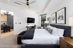 119 Wood Rd, Snowmass Village, CO 81615 - Photo 8