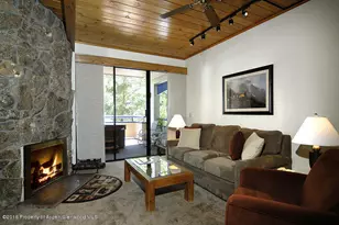 301 E Hyman Ave, Aspen, CO 81611 - Photo 8