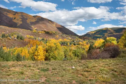 1050 Cemetery Lane, Aspen, CO 81611 - Photo 6