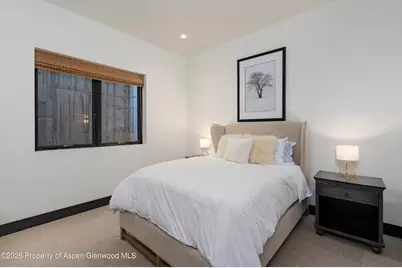 190 W Lupine Drive, Aspen, CO 81611 - Photo 10