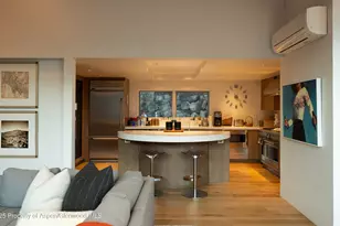 602 Mountain Laurel Dr, Aspen, CO 81611 - Photo 16