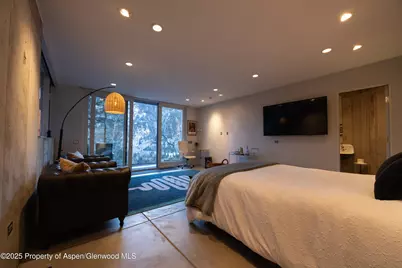 602 Mountain Laurel Drive, Aspen, CO 81611 - Photo 42