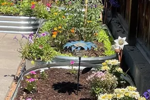 193 Barker St, Craig, CO 81625 - Photo 50