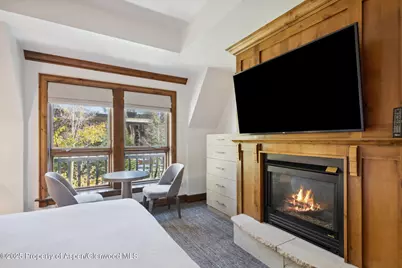 415 E Dean St, #35, Week 35, Aspen, CO 81611 - Photo 18