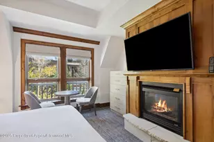 415 E Dean St #35 Week 35, Aspen, CO 81611 - Photo 18