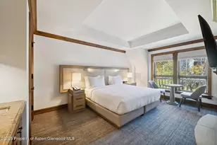 415 E Dean St #35 Week 35, Aspen, CO 81611 - Photo 16