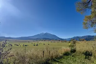 977 Co Rd 101, Carbondale, CO 81623 - Photo 2