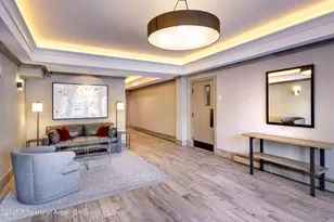 205 E Durant Ave, Aspen, CO 81611 - Photo 14