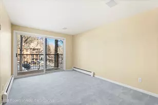 205 E Durant Ave, Aspen, CO 81611 - Photo 8