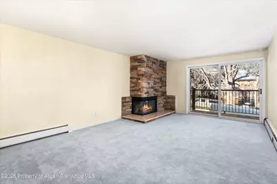 205 E Durant Avenue #1-F, Aspen, CO 81611 - Photo 4