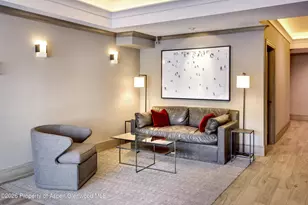 205 E Durant Ave, Aspen, CO 81611 - Photo 12