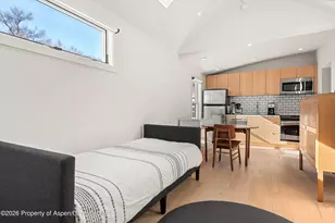 609 W Bleeker St, Aspen, CO 81611 - Photo 38