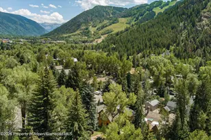 609 W Bleeker St, Aspen, CO 81611 - Photo 46