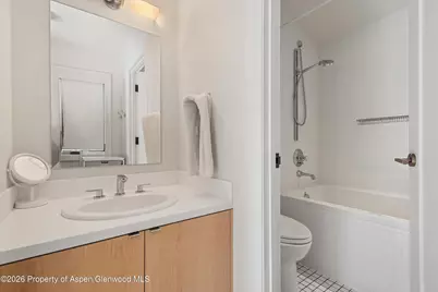 609 W Bleeker Street, Aspen, CO 81611 - Photo 42