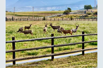 2637 7750 Road, Crawford, CO 81415 - Photo 38
