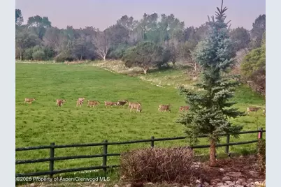 2637 7750 Road, Crawford, CO 81415 - Photo 36