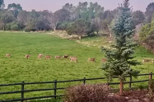 2637 7750 Rd, Crawford, CO 81415 - Photo 36