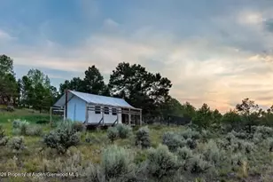 207 Cains Ln, Carbondale, CO 81623 - Photo 40