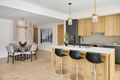 119 Wood Road #401, Snowmass Village, CO 81615 - Photo 10