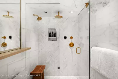 731 S Mill Street #Unit 2D, Aspen, CO 81611 - Photo 20